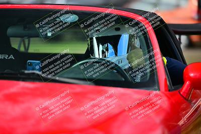 media/Mar-02-2025-Speed Ventures (Sun) [[ad7ca67825]]/Yellow Group/Grid/